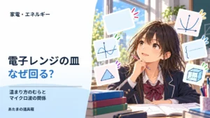 電子レンジの皿はなぜ回る？ 温まり方のむらとマイクロ波の関係