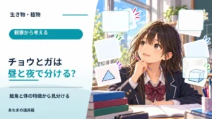 チョウとガは昼と夜で分けられる？ 触角と体の特徴から見分ける