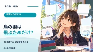 鳥の羽は飛ぶためだけにある？ 形の違いから役割を考える