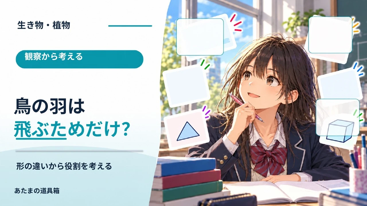 鳥の羽は飛ぶためだけにある? 形の違いから役割を考える