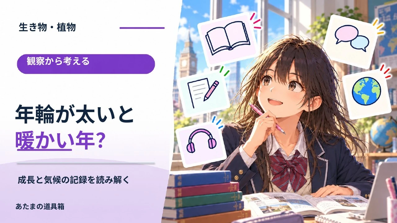 木の年輪は太いほど暖かい年？ 成長と気候の記録を読み解く