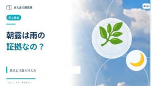 朝露は夜に雨が降った証拠？ 露点と地面の冷え方