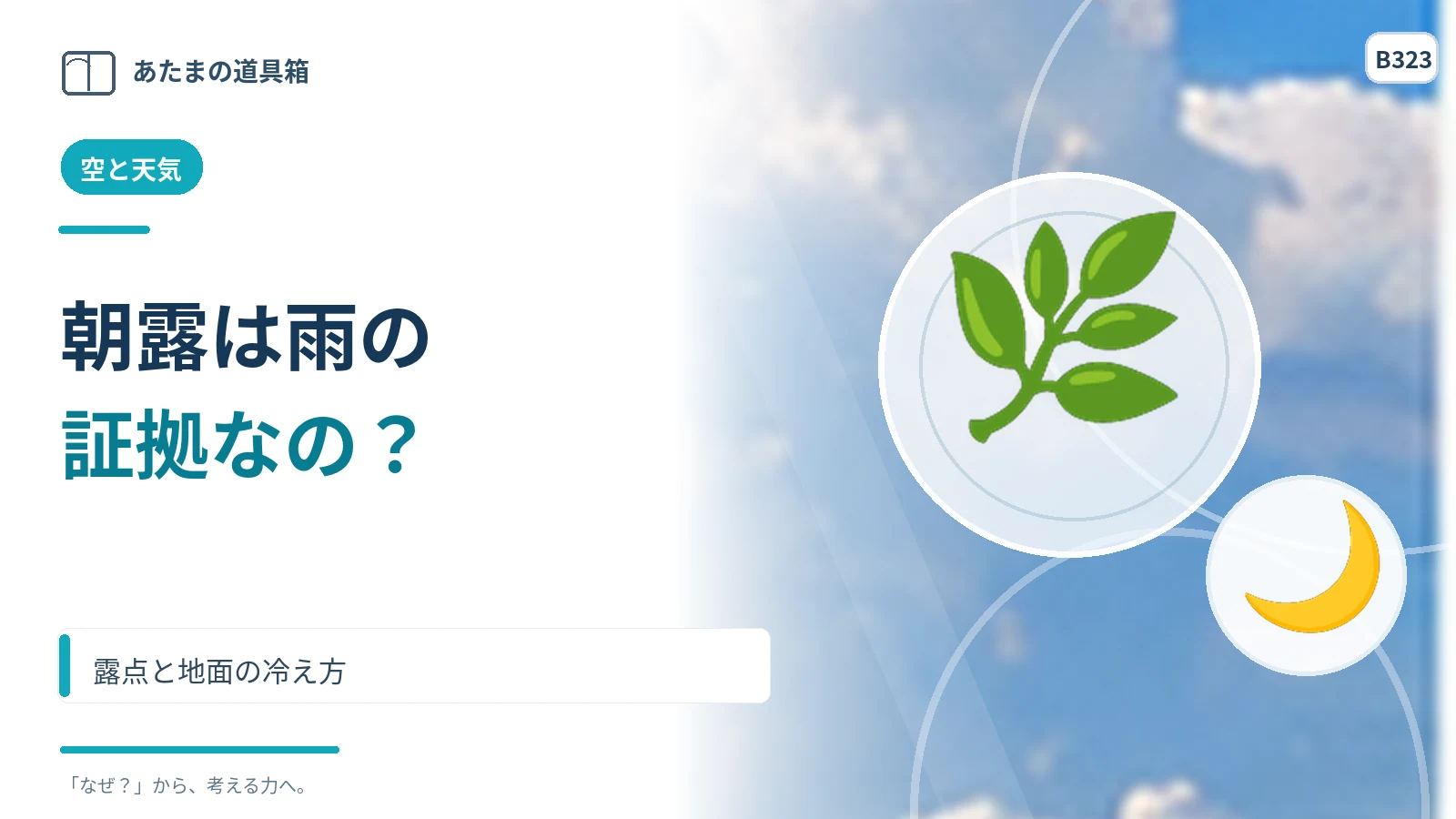 朝露は夜に雨が降った証拠？ 露点と地面の冷え方