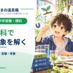 中学受験「太陽の動き」｜影を追うと方角と時刻がつながる